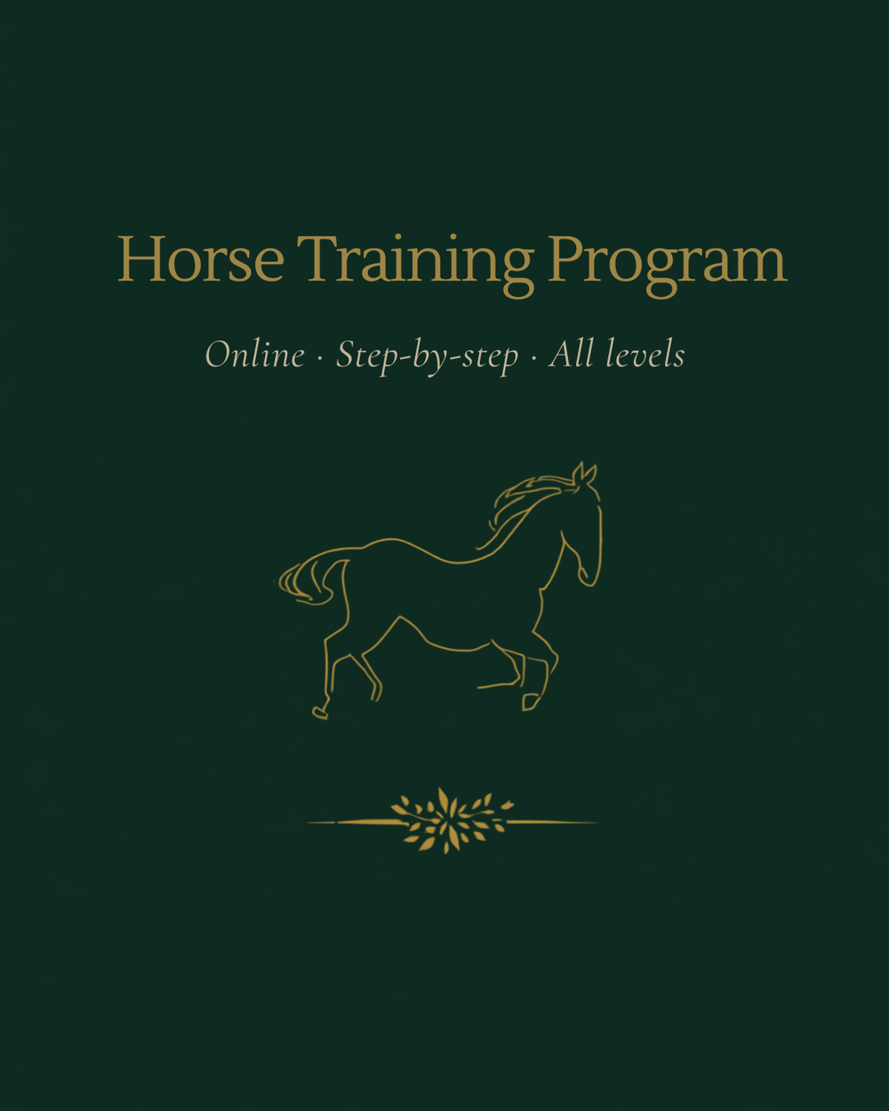 Horse Training Program