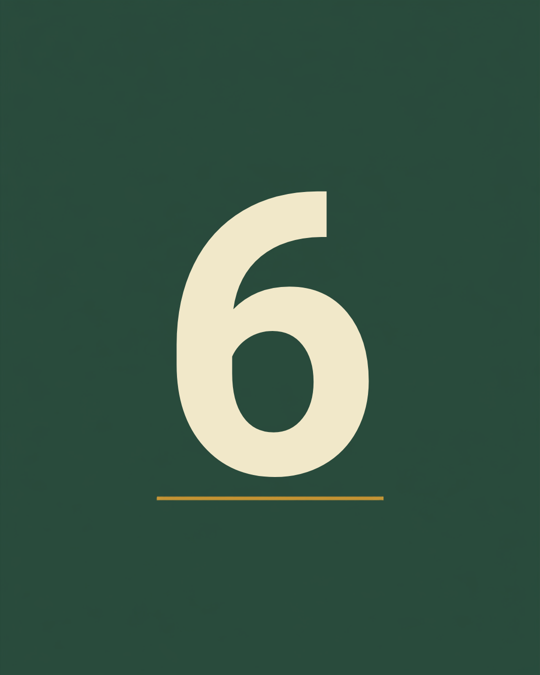 6 Months plan